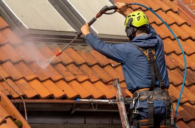 Démoussage et hydrofuge de toiture à Massieux